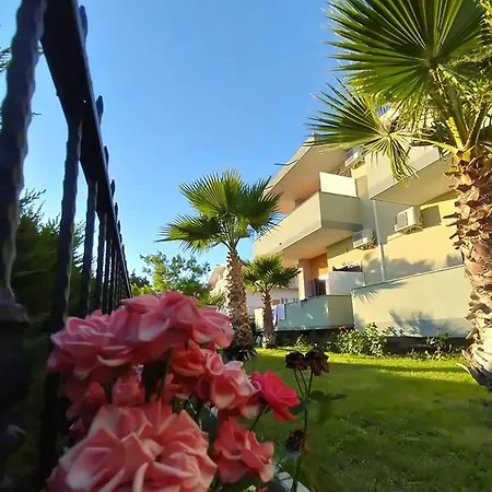 Hotel Jaho *