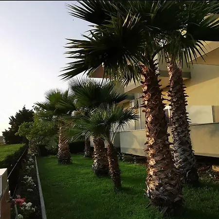 Jaho Otel *