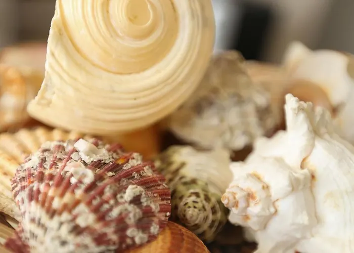 호텔 Jaho 카바여