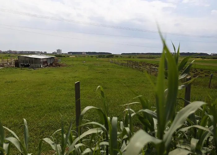 호텔 Jaho 카바여